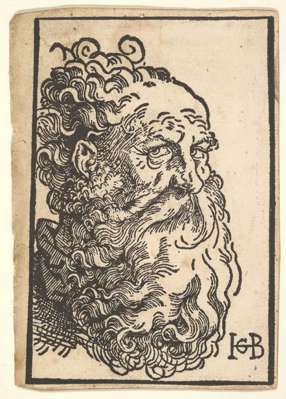 Head of a Bearded Man Wall Art by Hans Baldung (called Hans Baldung Grien) - High-Resolution Digital Print