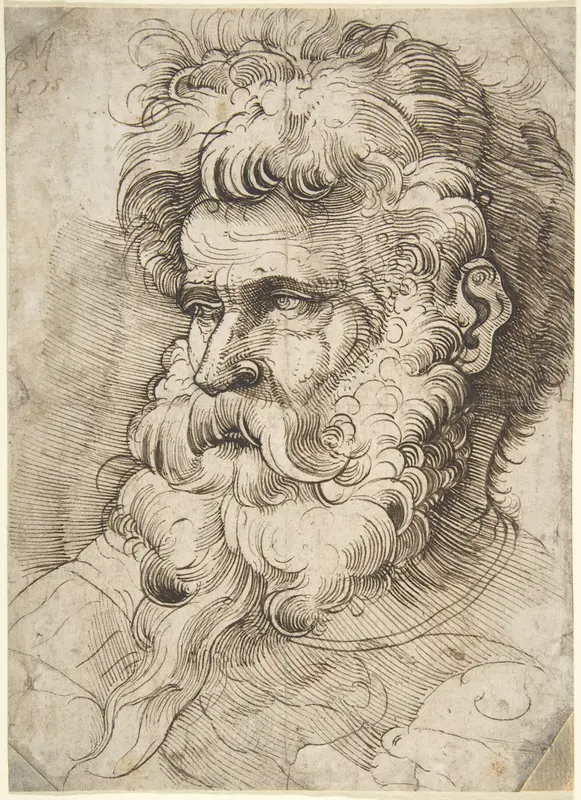Head of a Bearded Man Wall Art by Monogrammist SM - High-Resolution Digital Print