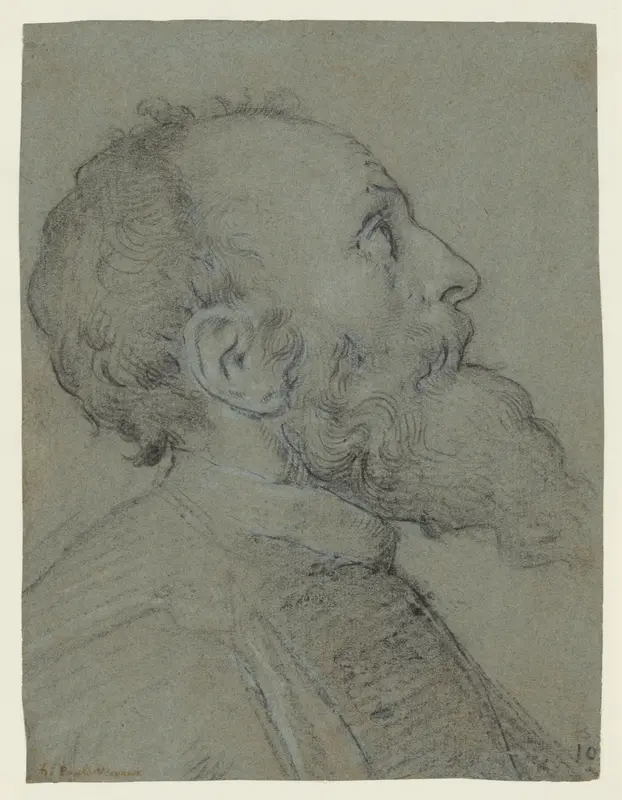 Head of a Bearded Man Wall Art by School of Paolo Veronese - High-Resolution Digital Print