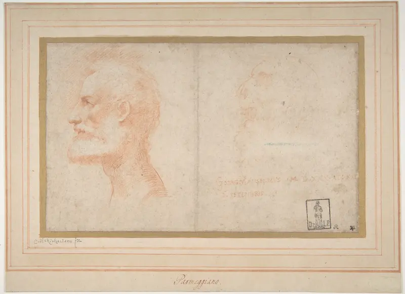 Head of a Bearded Man in Profile to Left, possibly the Portrait of the Poet Giorgio Anselmi (ca. 1459-1528), with Faint Sketch of a Skull-like Head Wall Art by Parmigianino (Girolamo Francesco Maria Mazzola) - High-Resolution Digital Print