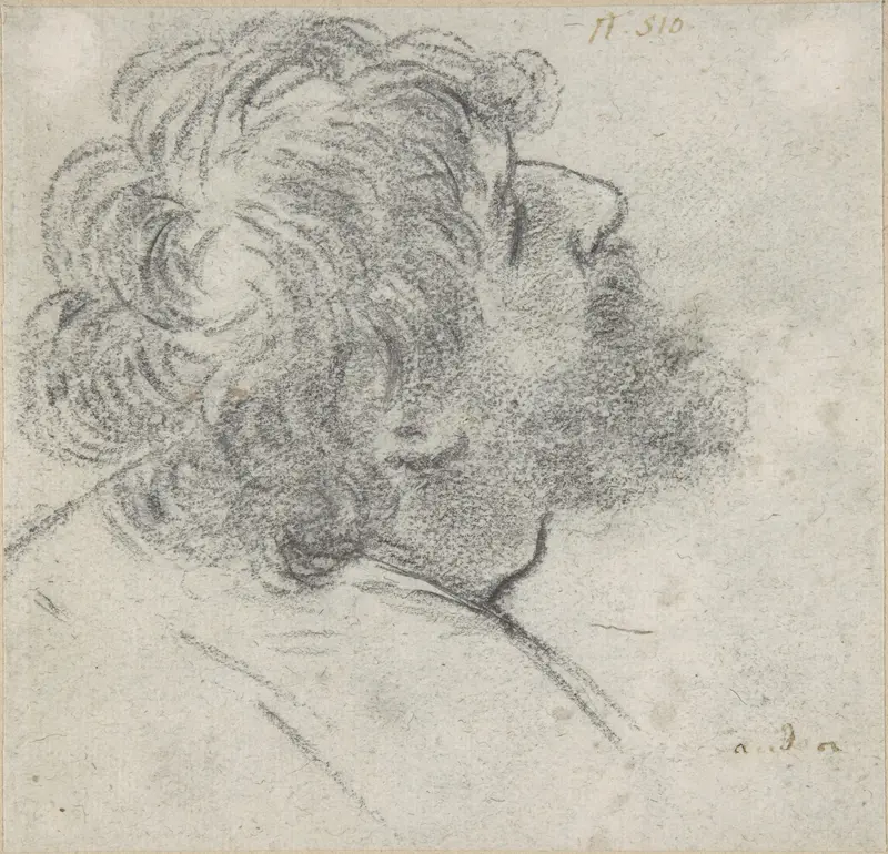 Head of a Bearded Man Looking to Upper Right (recto); Head of an Old Man and a Drapery Study (verso) Wall Art by Giacomo Cavedone - High-Resolution Digital Print