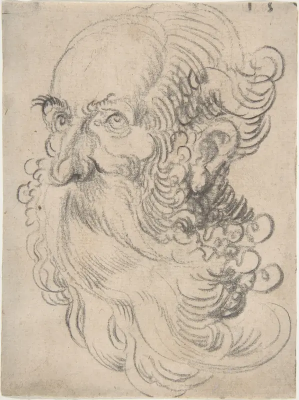 Head of a Bearded Old Man Wall Art by Wolfgang Huber - High-Resolution Digital Print