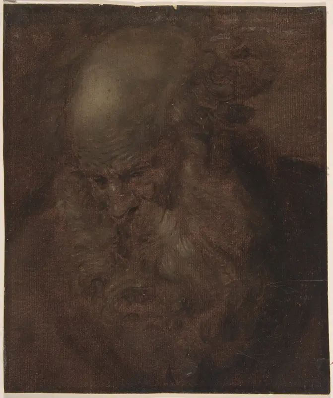 Head of a Bearded Old Man in Three-Quarter View Looking Down Wall Art by Anonymous, Italian, Roman-Bolognese, 17th century - High-Resolution Digital Print