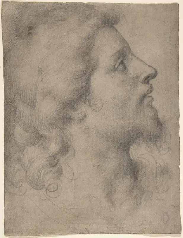 Head of a Bearded, Young Man in Profile Facing Right Wall Art by Bronzino (Agnolo di Cosimo di Mariano) - High-Resolution Digital Print