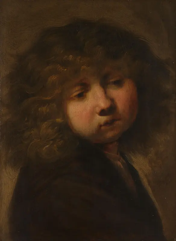 Head of a Boy Wall Art by Unknown - High-Resolution Digital Print