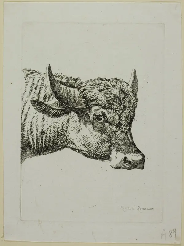 Head of a Buffalo, from Die Zweite Thierfolge Wall Art by Johann Christian Reinhart - High-Resolution Digital Print