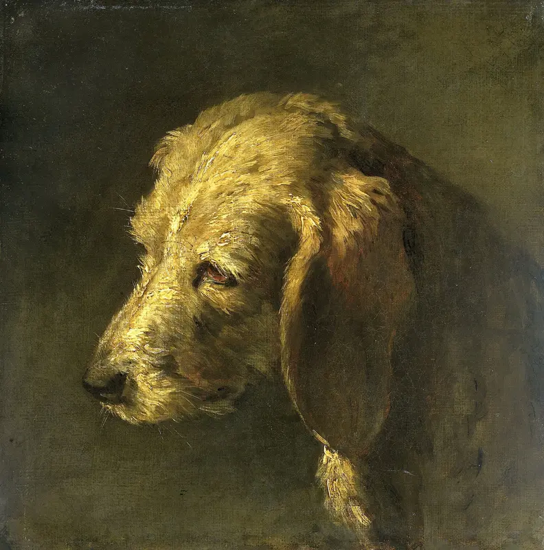 Head of a Dog Wall Art by Unknown - High-Resolution Digital Print