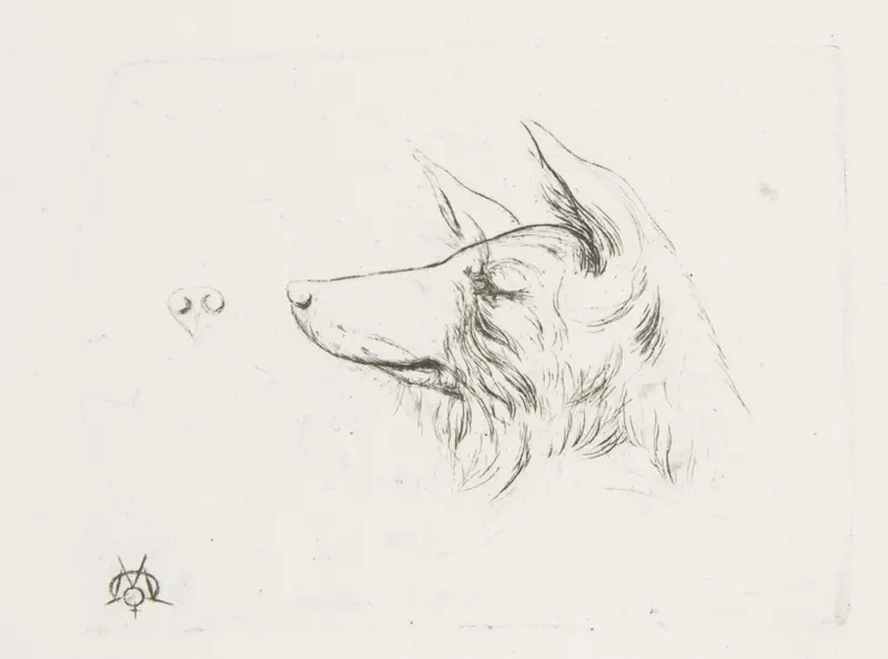 Head of a Dog from New Holland Wall Art by Charles Meryon - High-Resolution Digital Print