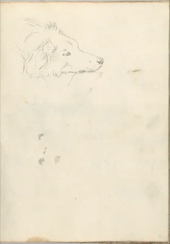 Head of a dog (Smaller Italian sketchbook, leaf 35 recto) Wall Art by Joseph Wright (Wright of Derby) - High-Resolution Digital Print