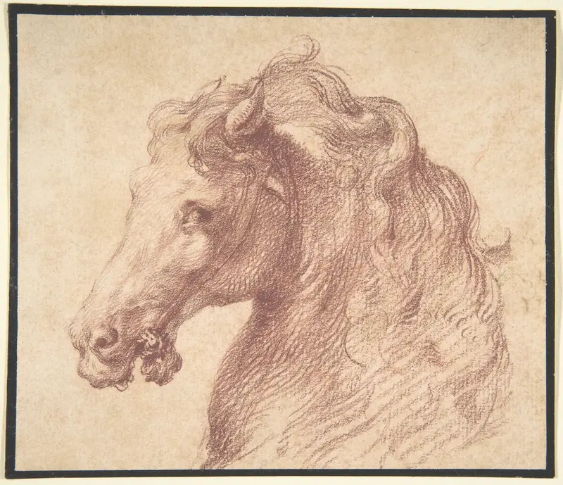 Head of a Horse Wall Art by Anonymous, Italian, mid-16th century - High-Resolution Digital Print