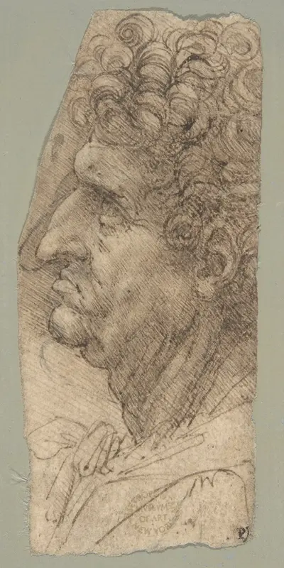 Head of a Man in Profile Facing to the Left Wall Art by Leonardo da Vinci - High-Resolution Digital Print