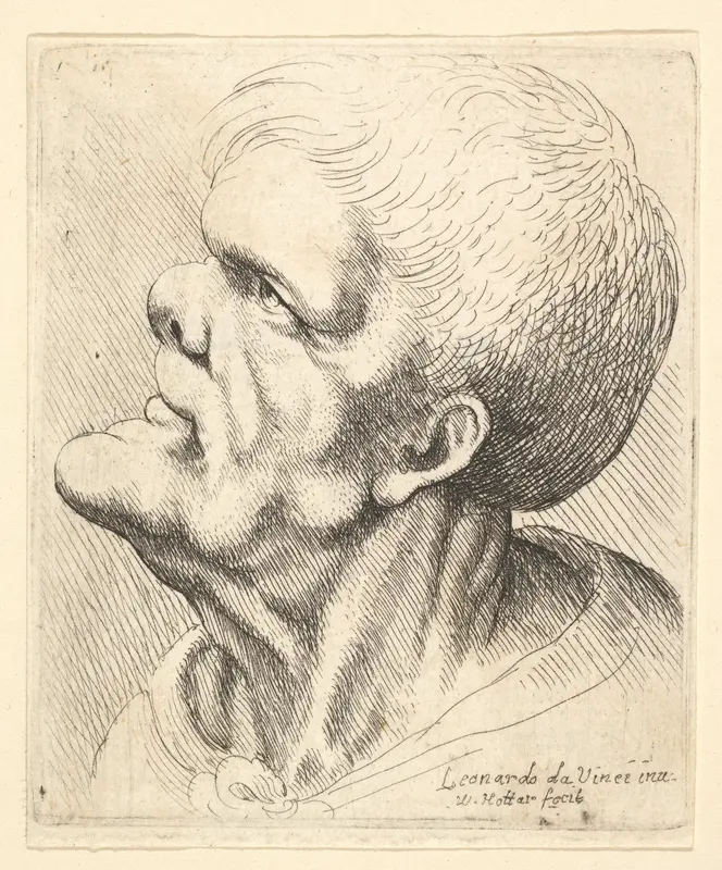 Head of a man with protruding chin and snub nose looking upwards in profile to left Wall Art by Wenceslaus Hollar - High-Resolution Digital Print