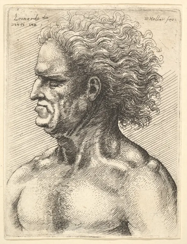 Head of a muscular old man in profile to left with flowing hair Wall Art by Wenceslaus Hollar - High-Resolution Digital Print