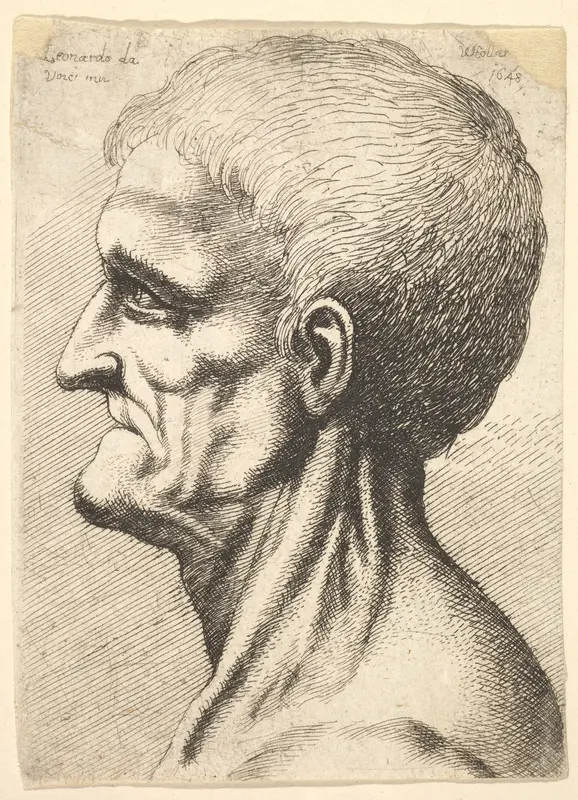Head of a toothless man with bare, sinewy neck in profile to left Wall Art by Wenceslaus Hollar - High-Resolution Digital Print