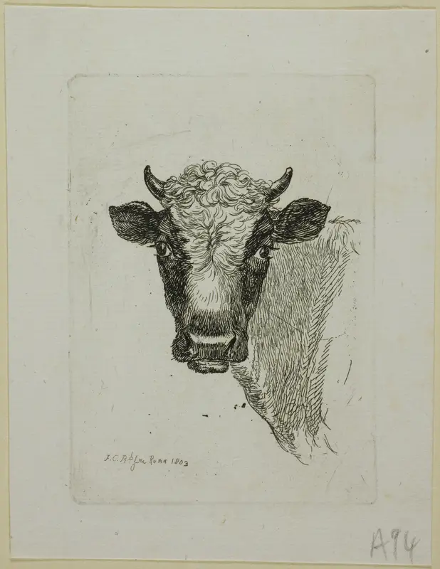 Head of a Young Bull, from Die Zweite Thierfolge Wall Art by Johann Christian Reinhart - High-Resolution Digital Print