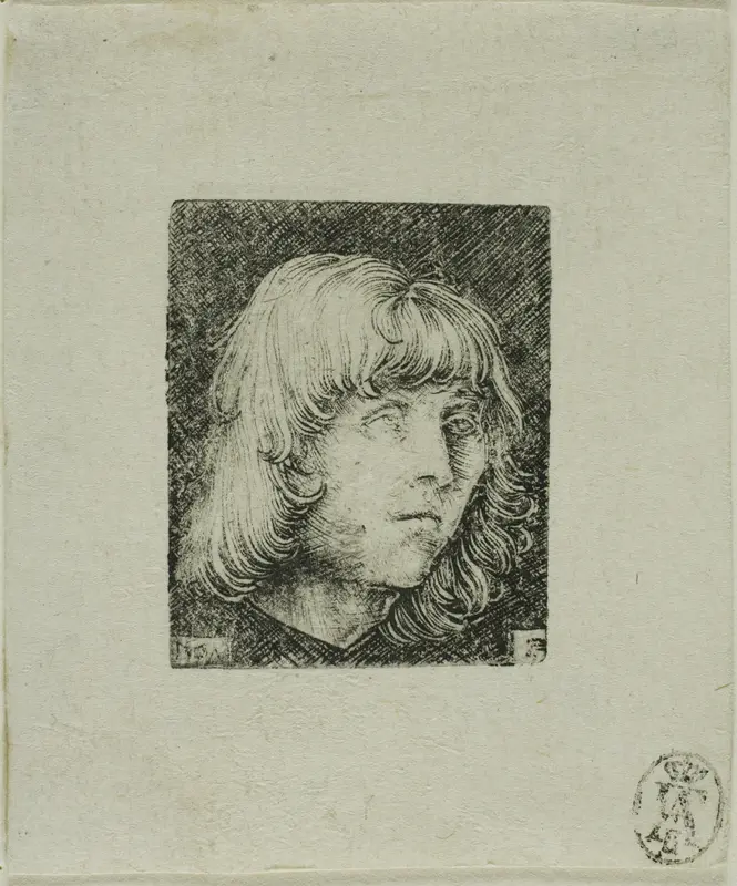 Head of a Young Man Wall Art by Albrecht Altdorfer - High-Resolution Digital Print