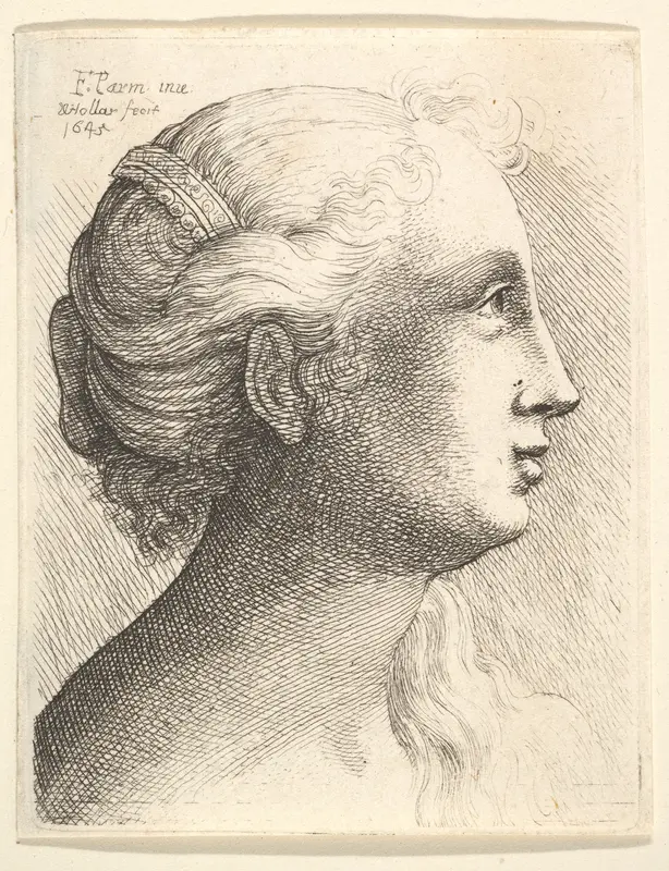 Head of a young woman in profile to right Wall Art by Wenceslaus Hollar - High-Resolution Digital Print