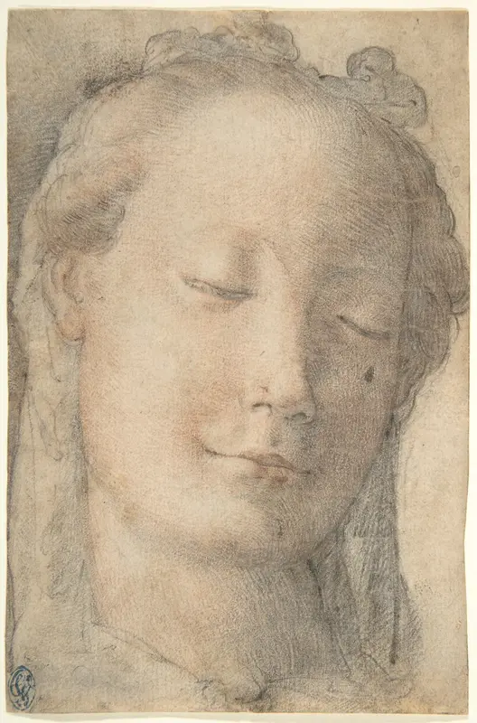 Head of a Young Woman in Three-quarter View Facing Right, with Lowered Eyes Wall Art by Anonymous, Italian, Florentine, 16th century - High-Resolution Digital Print