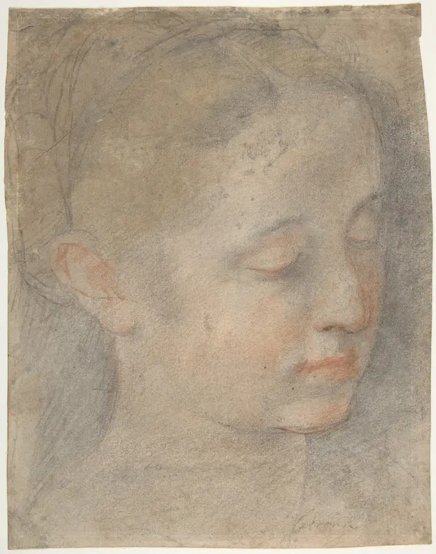 Head of a Young Woman Looking to Lower Right Wall Art by Federico Barocci - High-Resolution Digital Print
