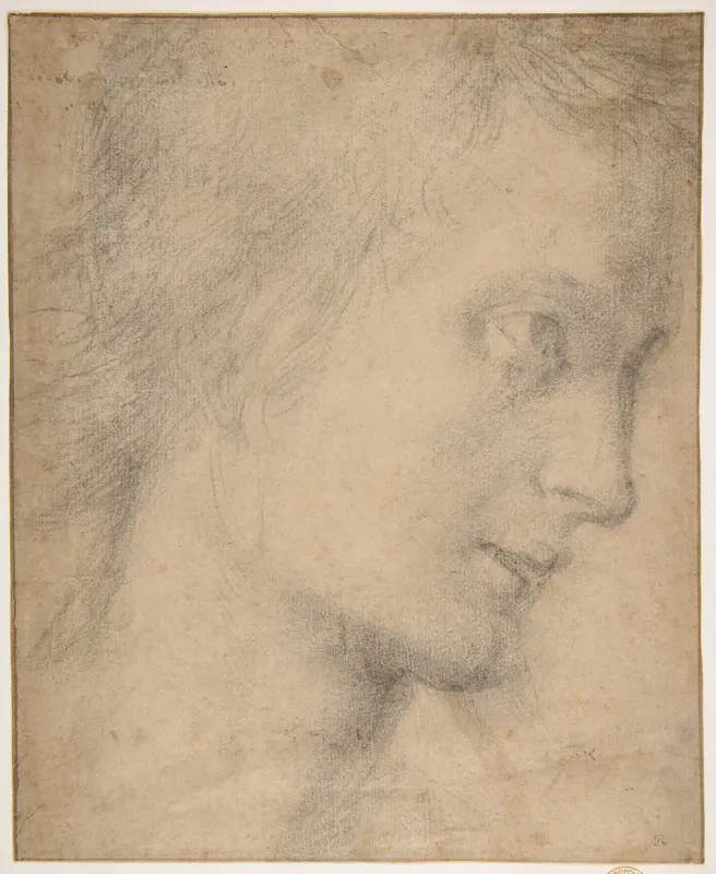 Head of a Youth in Profile (recto); Study of a Seated Figure (verso) Wall Art by Giovanni Antonio Sogliani - High-Resolution Digital Print