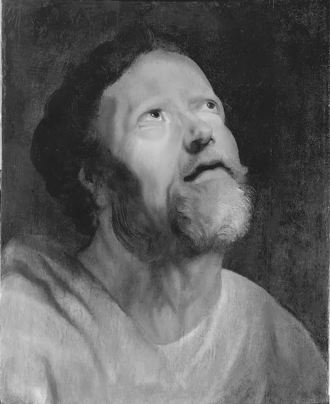 Head of an Apostle Wall Art by Follower of Jacob Jordaens - High-Resolution Digital Print