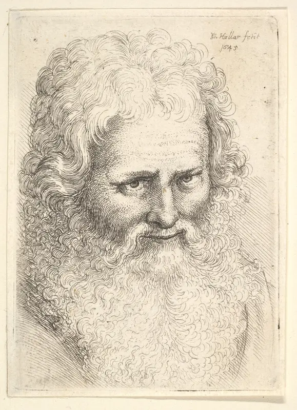 Head of an old man with a large beard Wall Art by Wenceslaus Hollar - High-Resolution Digital Print