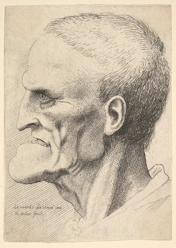 Head of an old man with a pronounced chin, short cropped hair and gaping mouth showing teeth in profile to left Wall Art by Wenceslaus Hollar - High-Resolution Digital Print