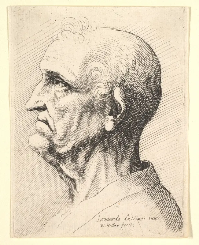 Head of an old man with tufts of curly hair around ear in profile to left Wall Art by Wenceslaus Hollar - High-Resolution Digital Print