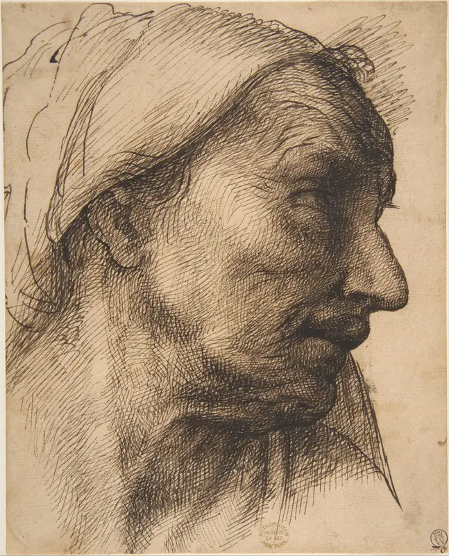Head of an Old Woman Wall Art by Sebastiano del Piombo (Sebastiano Luciani) - High-Resolution Digital Print
