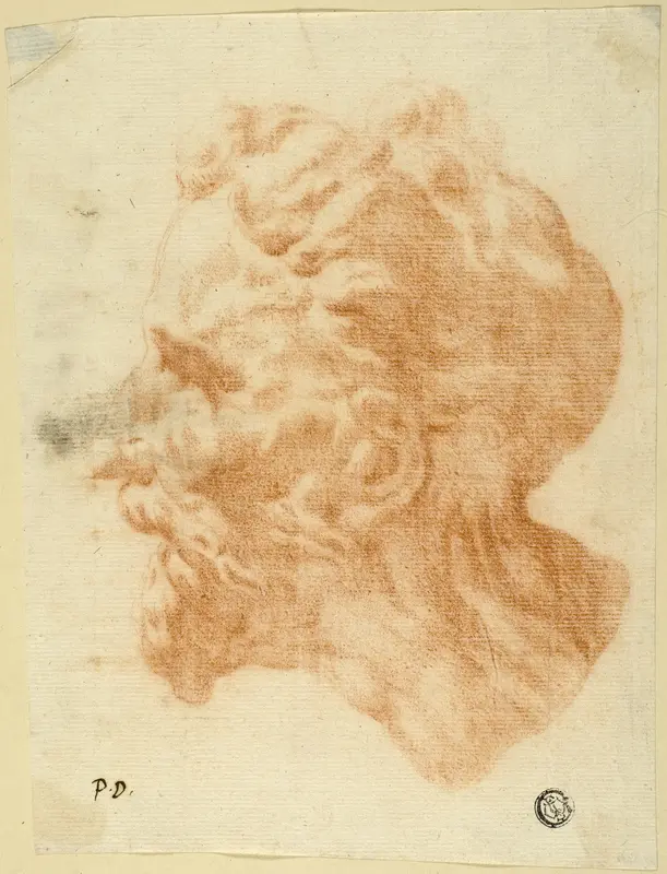Head of Bearded Man in Profile to Left Wall Art by Pietro Dandini - High-Resolution Digital Print