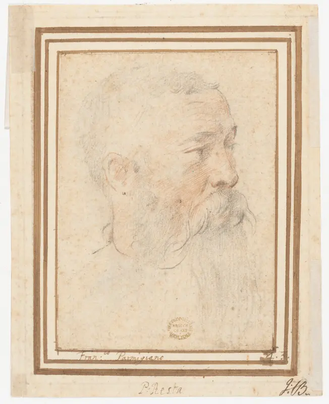 Head of Bearded Man (recto); Head of a Girl (verso) Wall Art by Girolamo Mazzola Bedoli - High-Resolution Digital Print