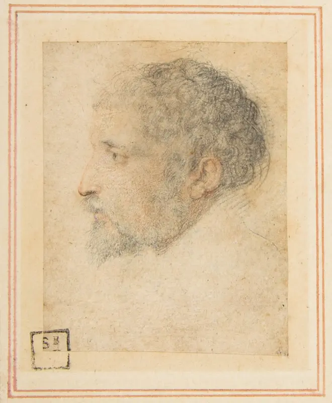 Head of man in Profile to Left Wall Art by Parmigianino (Girolamo Francesco Maria Mazzola) - High-Resolution Digital Print