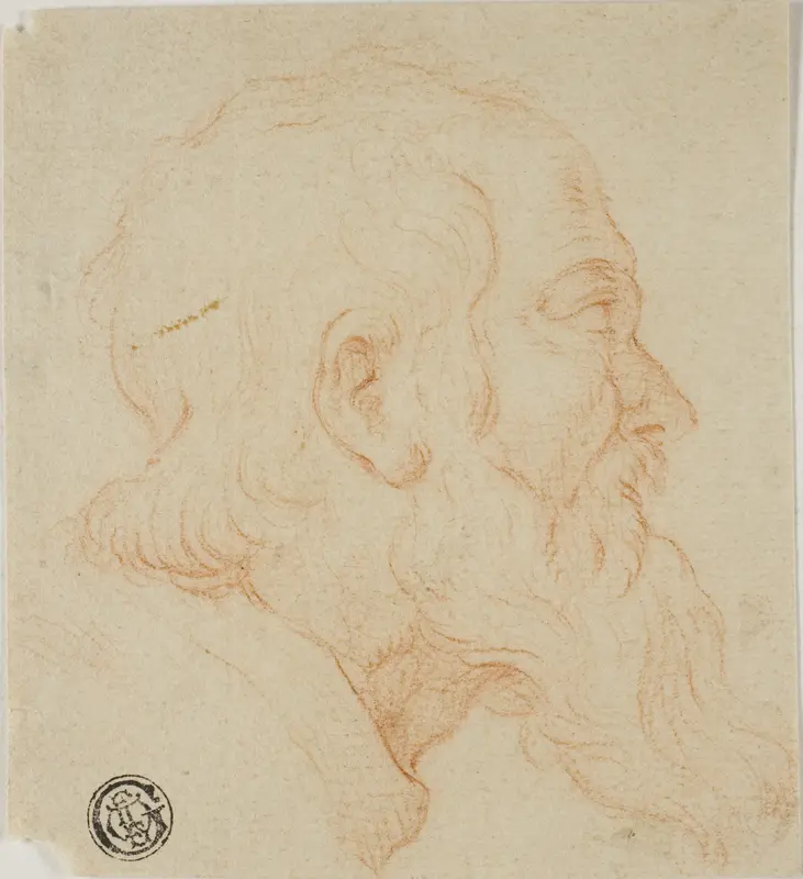 Head of Old Man in Profile to Right Wall Art by Follower of Simone Cantarini - High-Resolution Digital Print