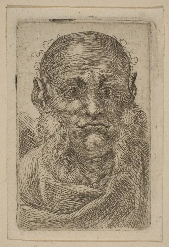 Head of Old Man Wall Art by Stefano della Bella - High-Resolution Digital Print