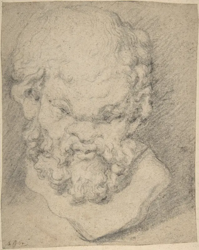 Head of Silenus Wall Art by Peter Paul Rubens - High-Resolution Digital Print