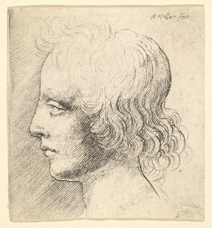 Head of Young Man Wall Art by Wenceslaus Hollar - High-Resolution Digital Print