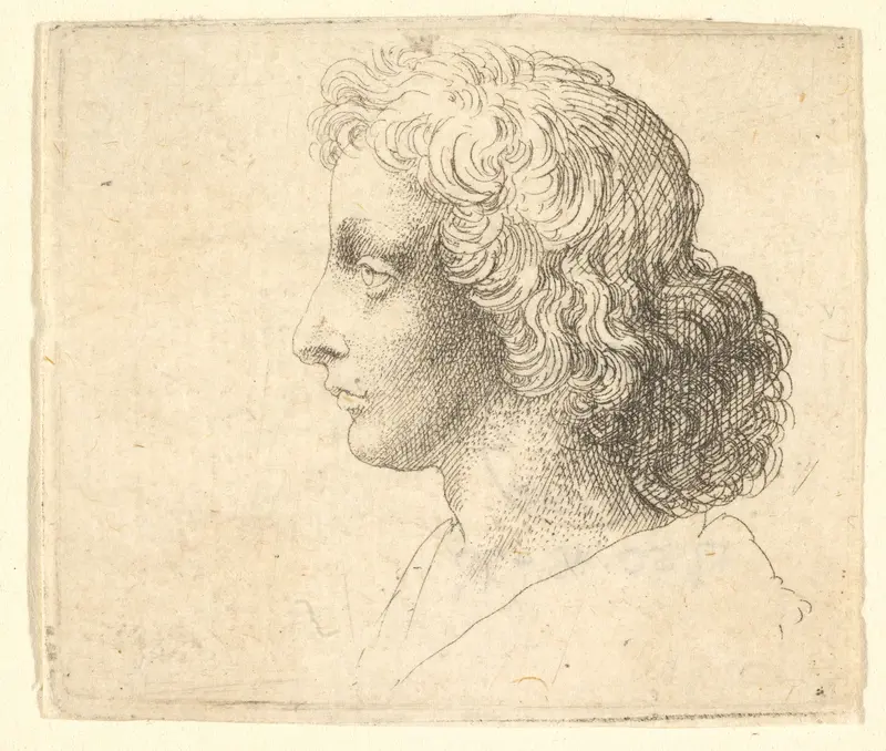 Head of young man with long hair in profile to the left Wall Art by Wenceslaus Hollar - High-Resolution Digital Print