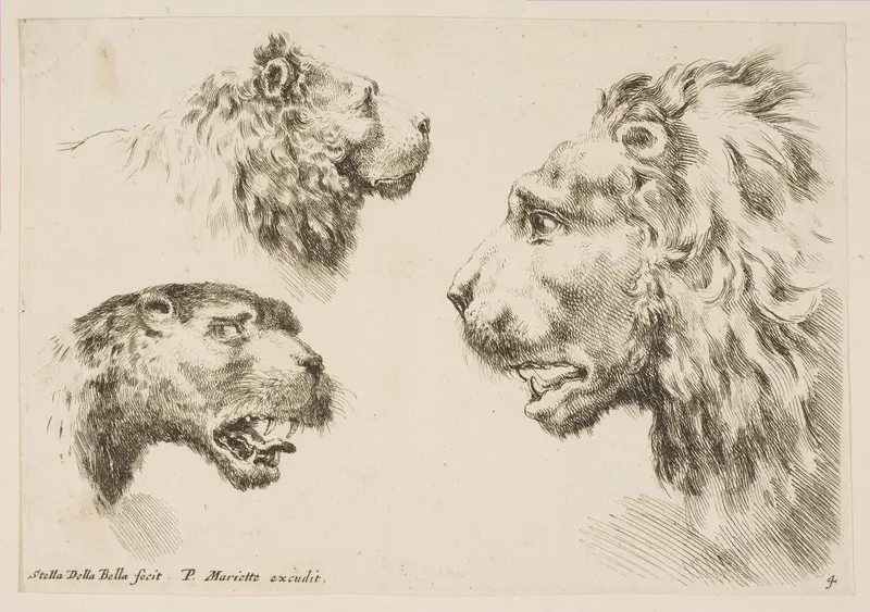 Heads of Three Lions Wall Art by Stefano della Bella - High-Resolution Digital Print