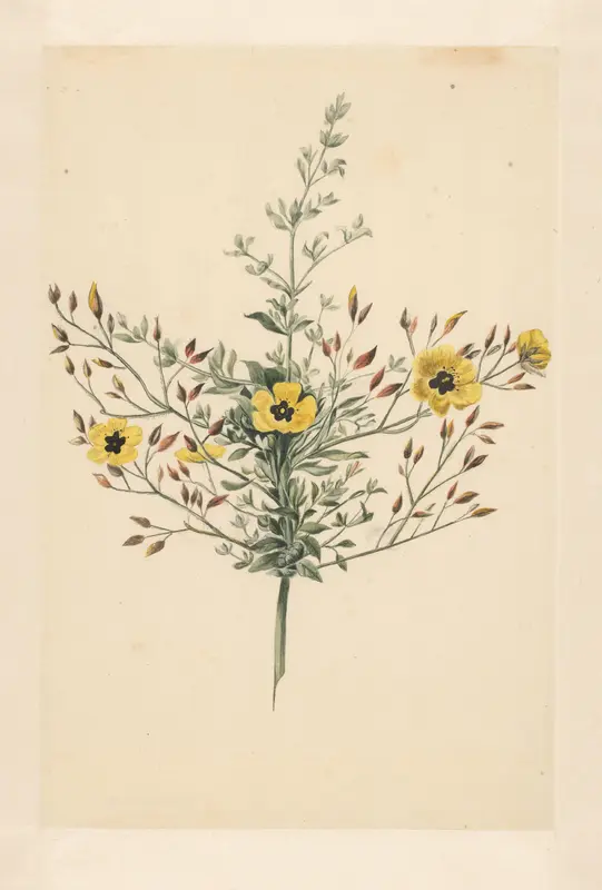 Hemelroosje Wall Art by Laurens Vincentsz. van der Vinne - High-Resolution Digital Print