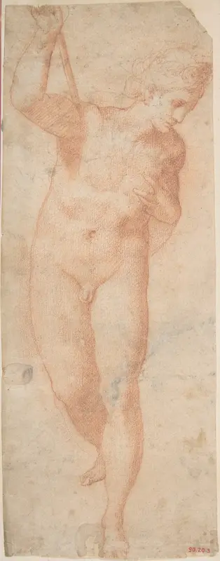 Hermaphrodite Wall Art by Anonymous, Italian, mid-16th century - High-Resolution Digital Print