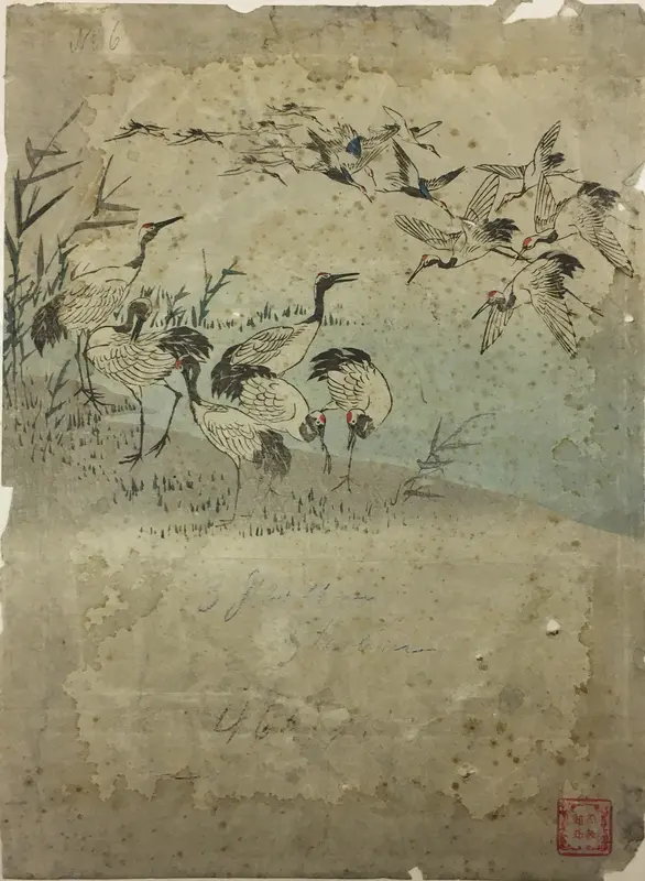 Herons Among Grasses