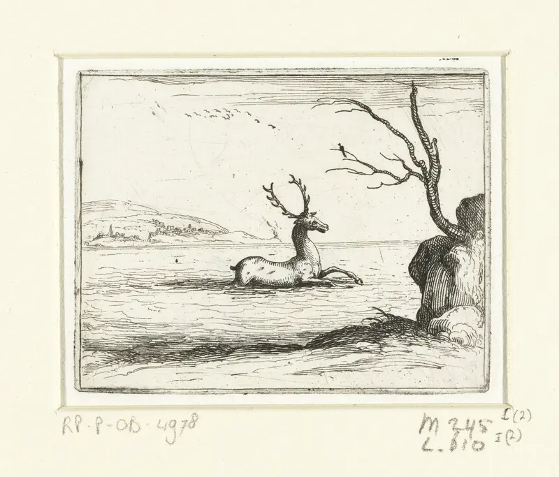 Hert zoekt verkoeling in het water Wall Art by Jacques Callot - High-Resolution Digital Print