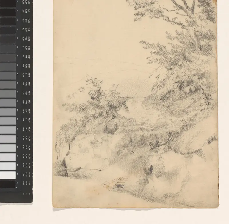 Heuvellandchap met boom en struiken Wall Art by Jan Bedijs Tom - High-Resolution Digital Print