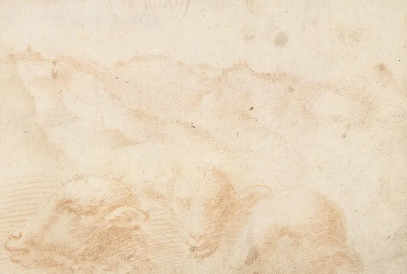 Heuvellandschap met drie schaapskoppen Wall Art by Domenico Beccafumi - High-Resolution Digital Print
