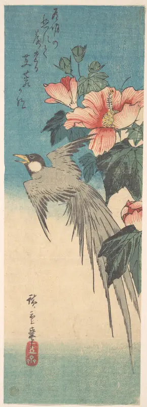 Hibiscus Mutabilis and Long-Tailed Bird