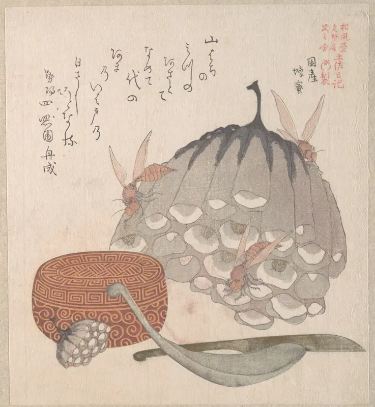 Hives with Wasps, and a Box with a Spoon for Honey