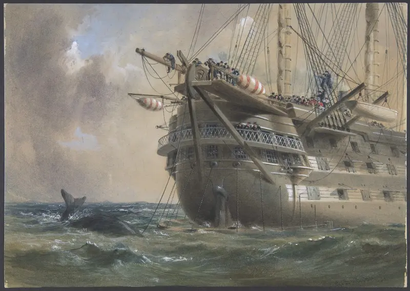 H.M.S. Agamemnon Laying the Atlantic Telegraph Cable in 1858: a Whale Crosses the Line Wall Art by Robert Charles Dudley - High-Resolution Digital Print