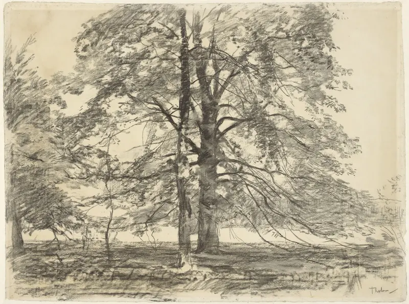 Hoge bomen in een vlak landschap Wall Art by Willem Bastiaan Tholen - High-Resolution Digital Print