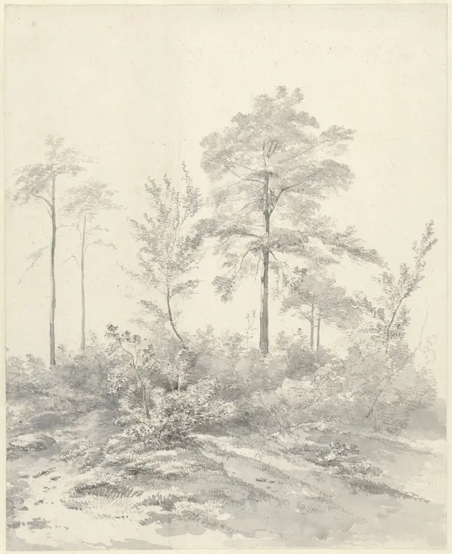 Hoge bomen tussen struiken Wall Art by Abraham Johannes Ruytenschildt - High-Resolution Digital Print