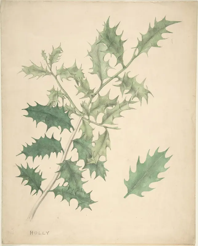 Holly Leaves Wall Art by Anonymous, British, 19th century - High-Resolution Digital Print